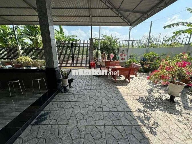 NHÀ RÔNG SÂN VƯỜN NGHĨ DƯỠNG THUỘC TRUNG TÂM PHƯỜNG 3 cũ (10x30)