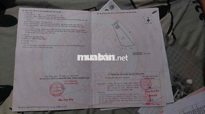 đất nhà ở và sầu riêng đang thu hoạch