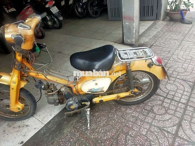 cúp lùn có đề