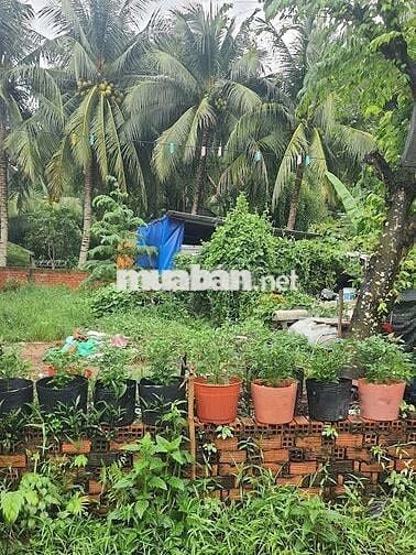 Bán nền 5*21 thuộc phường an bình TPCT giá dưới 1 tỷ