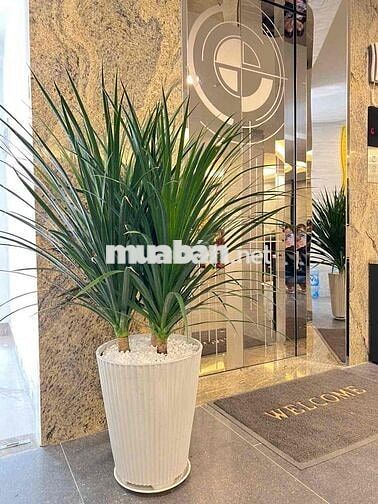 CHO THUÊ CĂN HỘ VÒNG XOAY LĂNG CHA CẢ TÂN BÌNH_SÂN BAY TÂN SƠN NHẤT