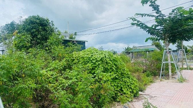 Bán Đất 6x37(224m2) Đoàn Thị Điểm Tân An LaGi Giá Ngộp