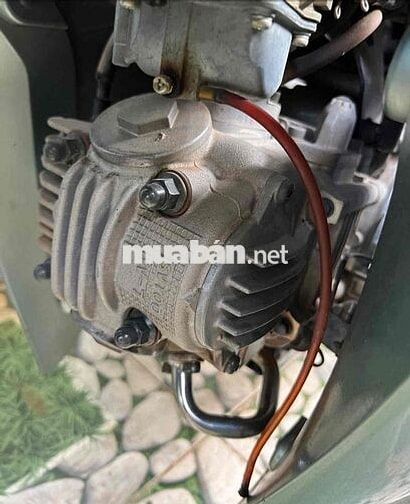 cần bán sirius cọp đời đầu 2007
