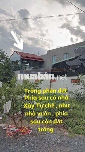 Bán đất Tặng nhà , đường nguyễn Văn khạ 5X27 Thổ cư. Xã Tân an hội