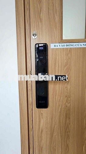 Căn hộ mini Full nội thất có ban công lớn Pham Thế Hiển quận 8