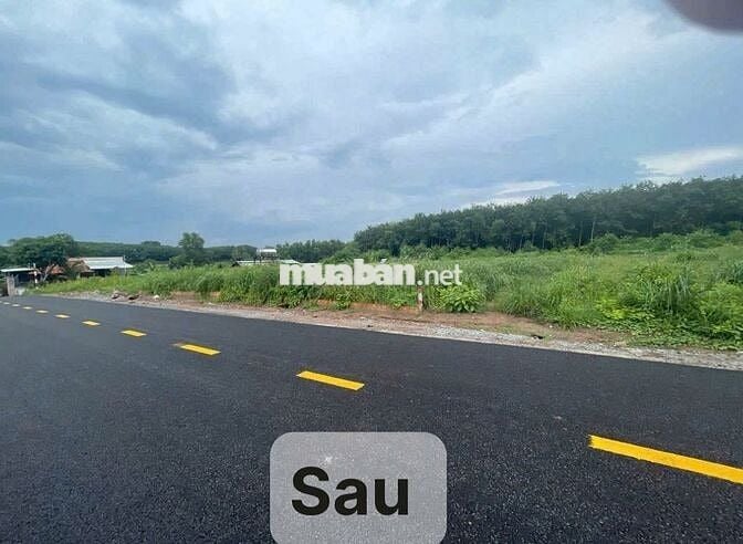 Muốn bán gấp lô đất HCM 2000m2 có sẵn 100m2 thổ cư 700tr