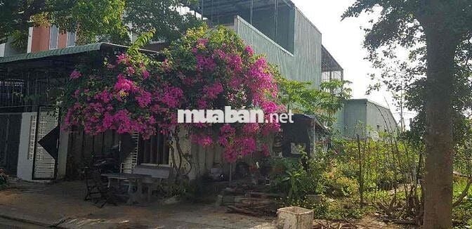 🏠 Bán Nhà Khu Ngân Câu - Ngân Giang (Điện Ngọc). tp đà nẵng
