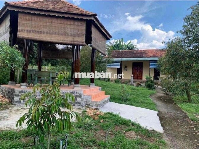 Chính Chủ cần bán Gấp đất vườn hơn 2000m2 giá 210triêu