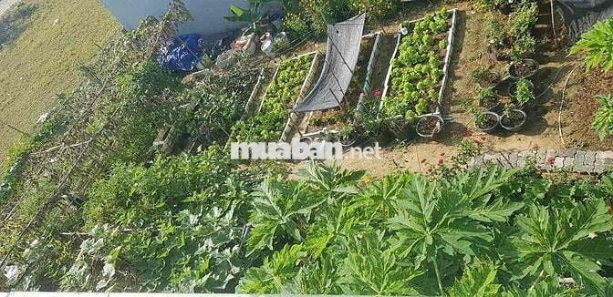🏠 Bán Nhà Khu Ngân Câu - Ngân Giang (Điện Ngọc). tp đà nẵng