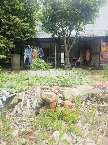 Nhà cho thuê  giá rẻ sân vườn thả gà nuôi cá