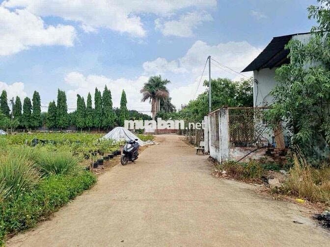 Chính Chủ Cần nhượng lại đất vườn 1500m2 /giá 200tr vườn sẵn gốc sầu