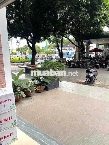 Cho Thuê Mặt Bằng Đường Lý Thường Kiệt, Quận 11 - Ngang 5m - KD Tự Do
