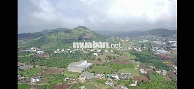đất sổ đỏ 10000 m2 đã chuyển 2000 m2 thổ cư, thuoc khu dân cư Nam Hà