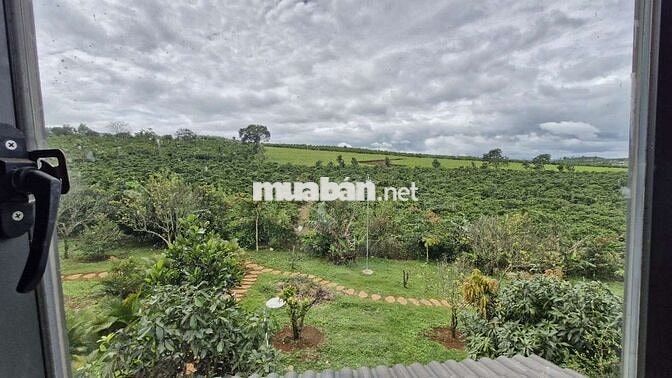 5850m2 nhà vườn nghỉ dưỡng view hồ Phúc Thọ, Lâm Hà, LĐ