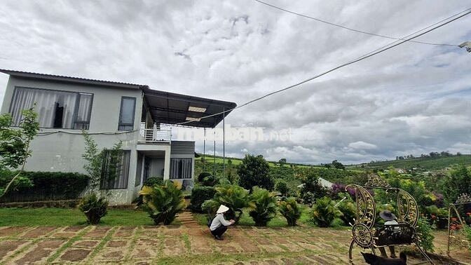5850m2 nhà vườn nghỉ dưỡng view hồ Phúc Thọ, Lâm Hà, LĐ