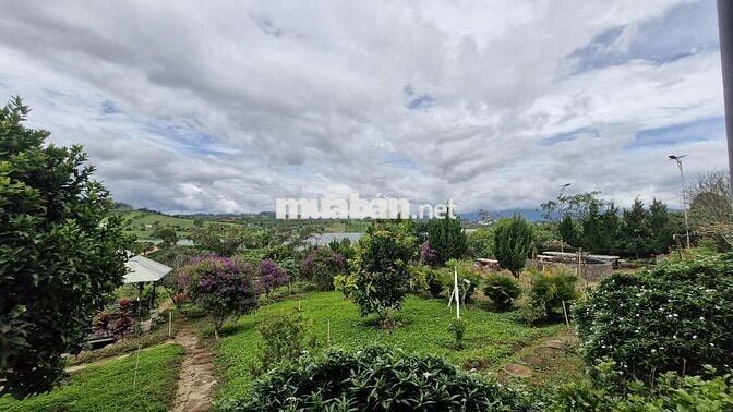 5850m2 nhà vườn nghỉ dưỡng view hồ Phúc Thọ, Lâm Hà, LĐ