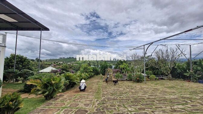 5850m2 nhà vườn nghỉ dưỡng view hồ Phúc Thọ, Lâm Hà, LĐ