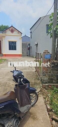🎉🎉 Lô 61 m2 Hiền Lương, Hiền Ninh – Nhỏ Tiền, Ô Tô đỗ cửa – Sát trục