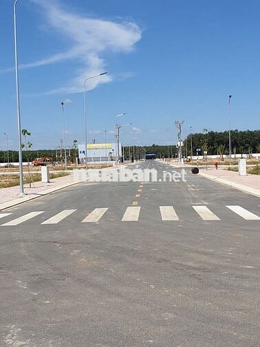 Bán lô Long Đức 126m2 ngay sân bay Long Thành giá chỉ 1,250 tỷ sổ sẵn