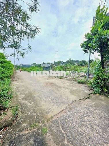💥 Đất đẹp nhánh Trương Văn Vĩnh – 100m² thổ cư, giá tốt 1Tỷ690Triệu