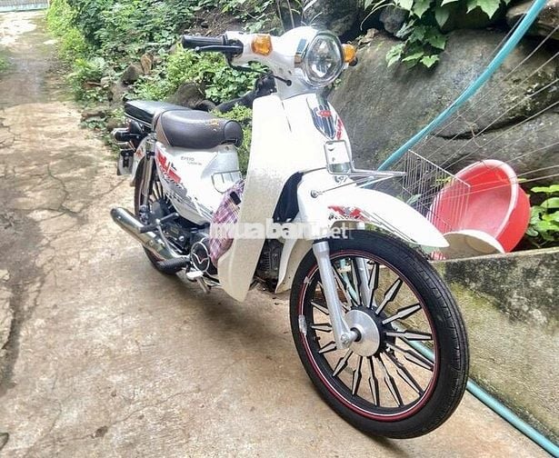 cần pass lại xe 50cc