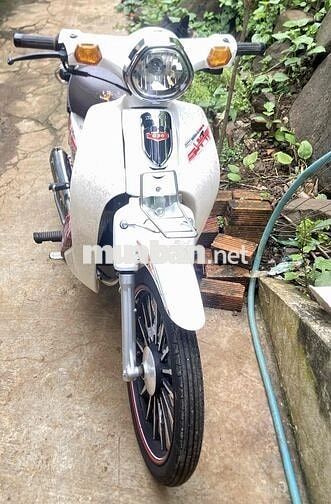 cần pass lại xe 50cc