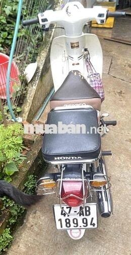 cần pass lại xe 50cc