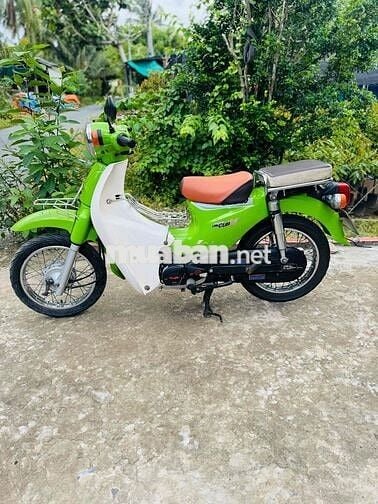 cúp 50cc học sinh