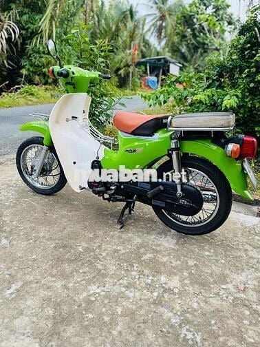 cúp 50cc học sinh