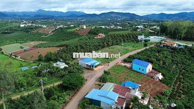 Ngộp bank lô đất đẹp tại Hoài Đức, Lâm Hà, Lâm Đồng cắt lỗ 50%