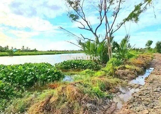 Quá đẹp, 500m2 đất vườn view sông cực đẹp, 500tr
