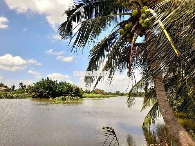 Quá đẹp, 500m2 đất vườn view sông cực đẹp, 500tr