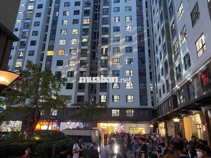 Shophouse vừa ở vừa kinh doanh hoặc làm văn phòng