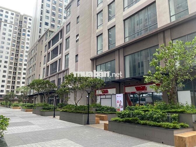 Shophouse vừa ở vừa kinh doanh hoặc làm văn phòng