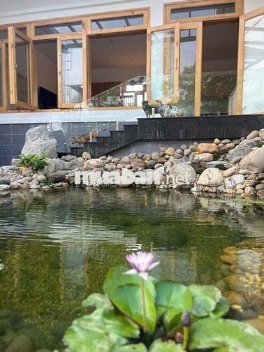 Cho thuê mặt bằng đối diện chợ Phu An, Bến Cát