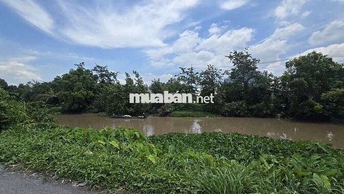 Bán nhà vườn 1200m2 giá 3.6 tỷ