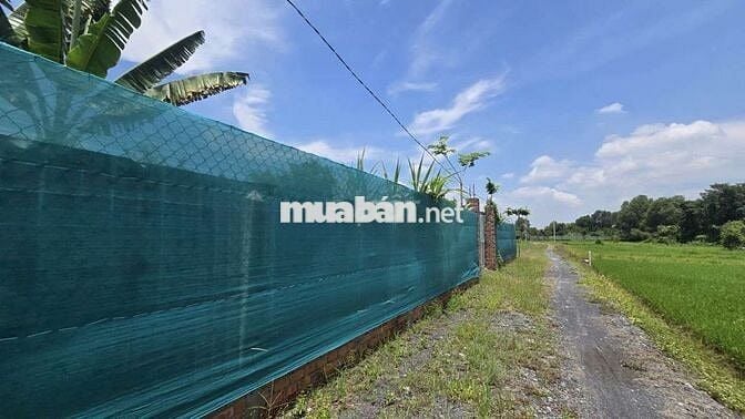Bán nhà vườn 1200m2 giá 3.6 tỷ