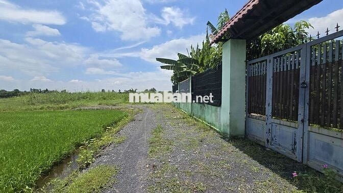 Bán nhà vườn 1200m2 giá 3.6 tỷ