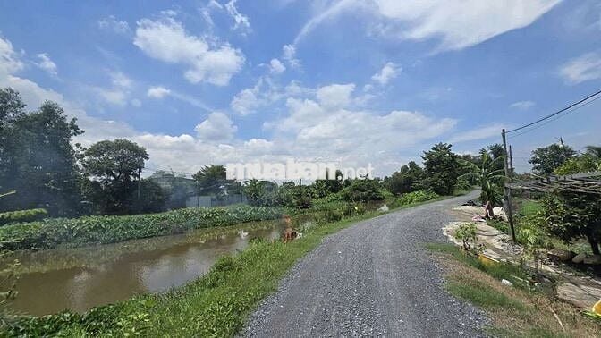 Bán nhà vườn 1200m2 giá 3.6 tỷ