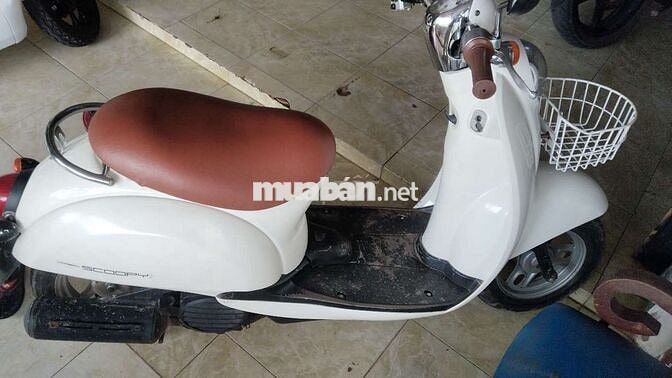 Bán xe scoppy 50cc nhật