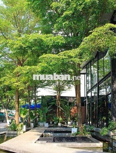 ❤️❤️❤️ CẦN CHO THUÊ MB 2 TẦNG ĐƯỜNG NGÔ THỊ SỸ- PHỐ TÂY AN THƯỢNG
