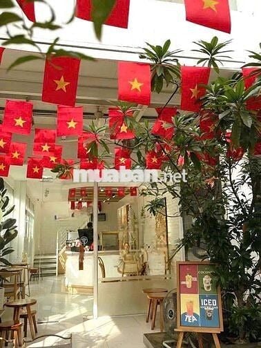 Cho Thuê Nhà Đường Nguyễn Tri Phương, Quận 10 ( 15x19m - CHDV - KS )
