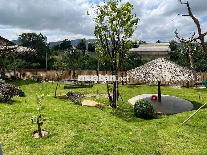 ĐẤT THÔ CƯ 100M2, GẦN SÂN BAY LIÊN KHƯƠNG - ĐÀ LẠT, CHỈ TỪ 540 TRIỆU