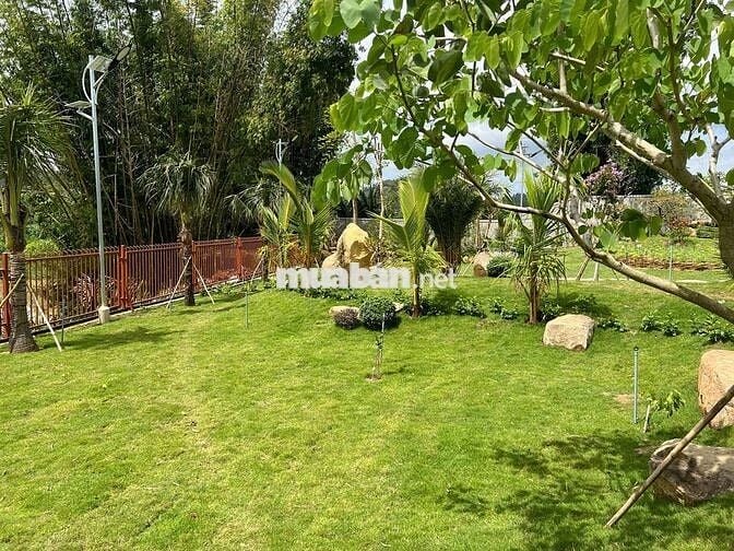 ĐẤT THÔ CƯ 100M2, GẦN SÂN BAY LIÊN KHƯƠNG - ĐÀ LẠT, CHỈ TỪ 540 TRIỆU