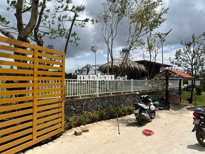 ĐẤT THÔ CƯ 100M2, GẦN SÂN BAY LIÊN KHƯƠNG - ĐÀ LẠT, CHỈ TỪ 540 TRIỆU