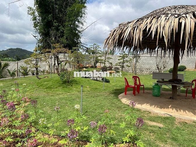 ĐẤT THÔ CƯ 100M2, GẦN SÂN BAY LIÊN KHƯƠNG - ĐÀ LẠT, CHỈ TỪ 540 TRIỆU