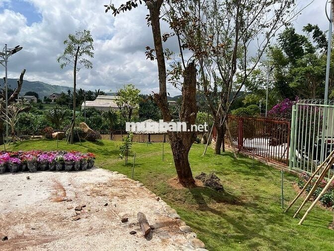 ĐẤT THÔ CƯ 100M2, GẦN SÂN BAY LIÊN KHƯƠNG - ĐÀ LẠT, CHỈ TỪ 540 TRIỆU