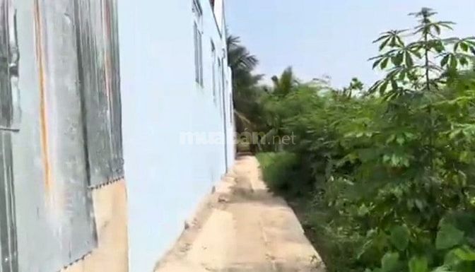 TÔI CHỦ. BÁN ĐẤT CHỢ GẠO, TIỀN GIANG. GIÁ RẺ 1200m2 660TR