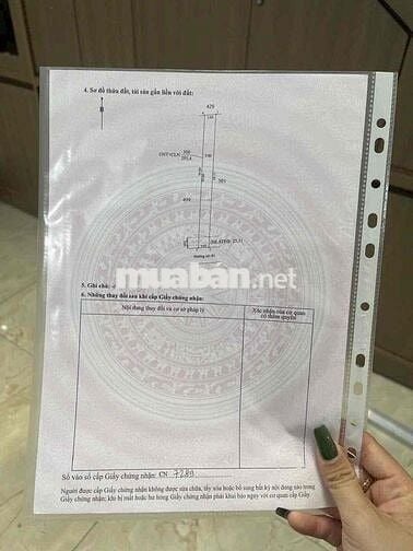 Chỉ với 250tr sở hữu ngay lô đất TP.HCM quá hời ạ