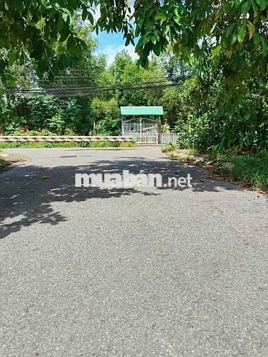 BÁN GẤP CẮT LỖ SÂU LÔ ĐẤT THỔ CƯ NGAY TÂN THÔNG HỘI, CỦ CHI, FULL THỔ